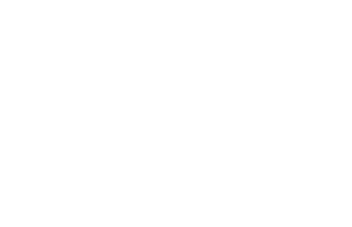 MSM Multifranchise Logo